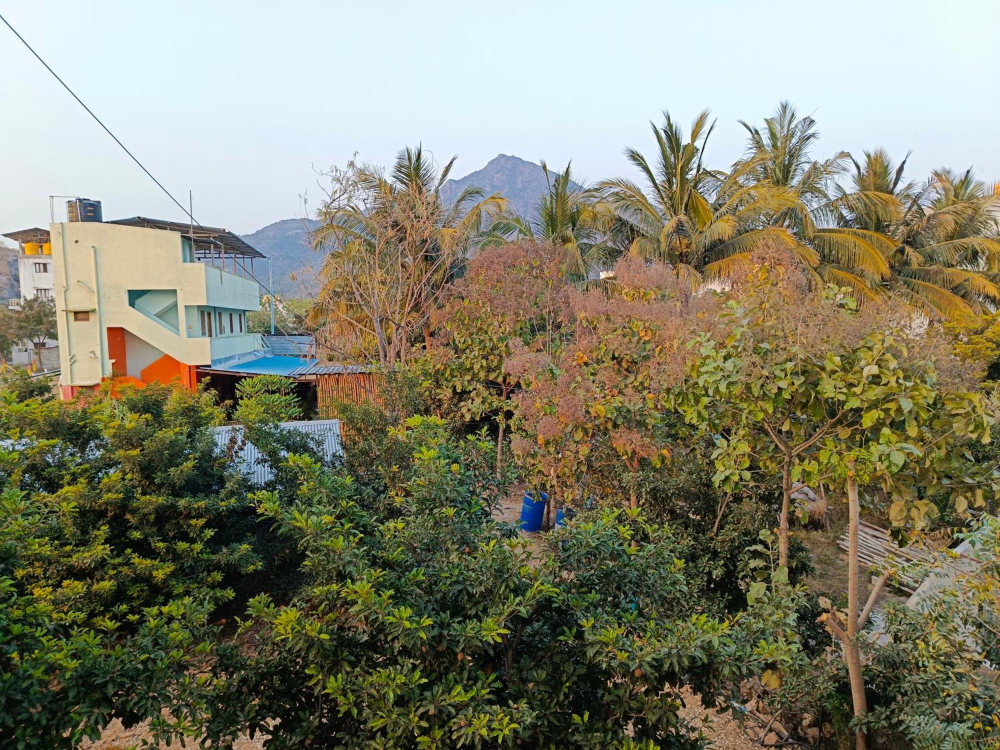 Abaranji Guest House Tiruvannámalaj Kültér fotó